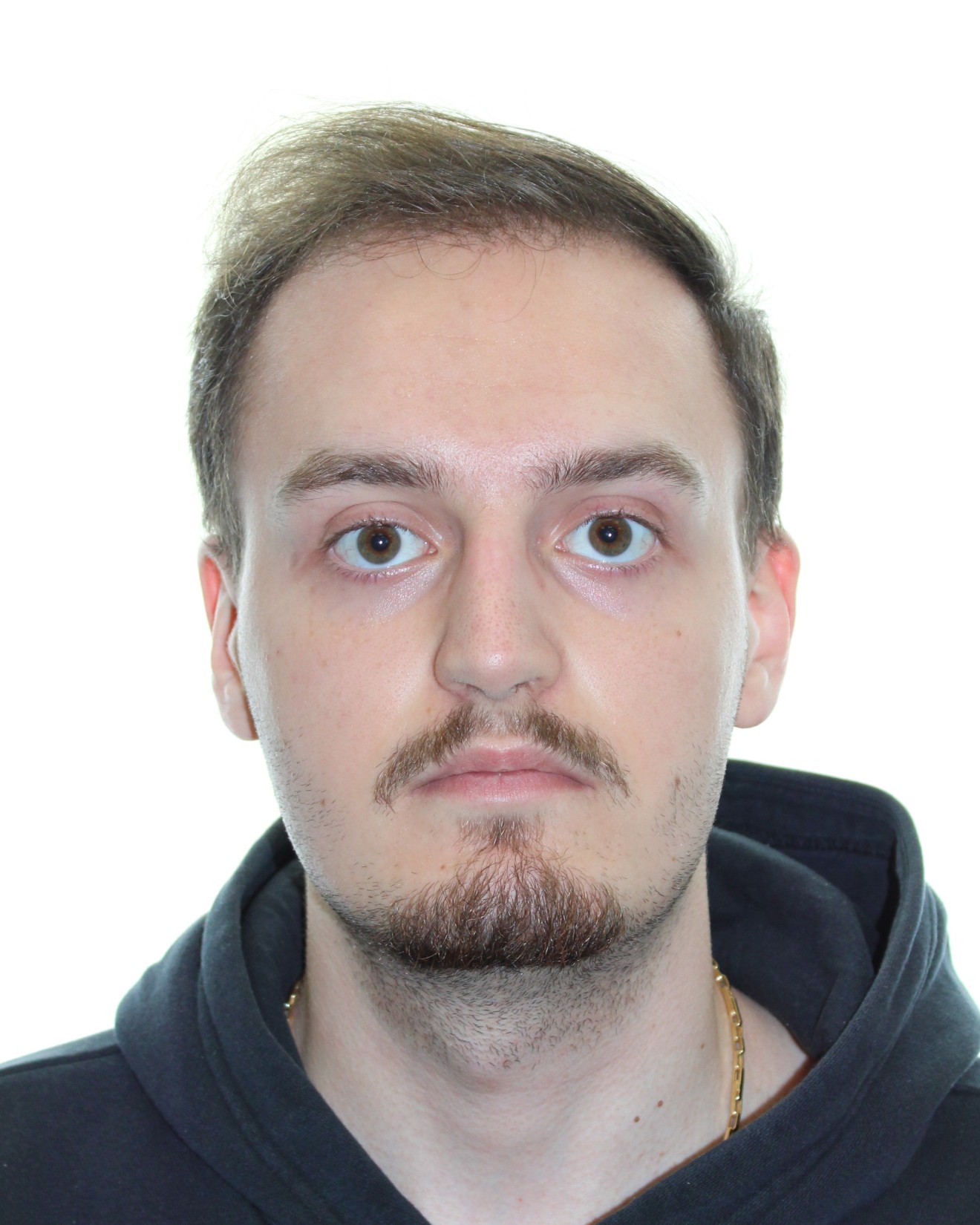 Andrei Macrineanu, Internship Student at Zhang Lab