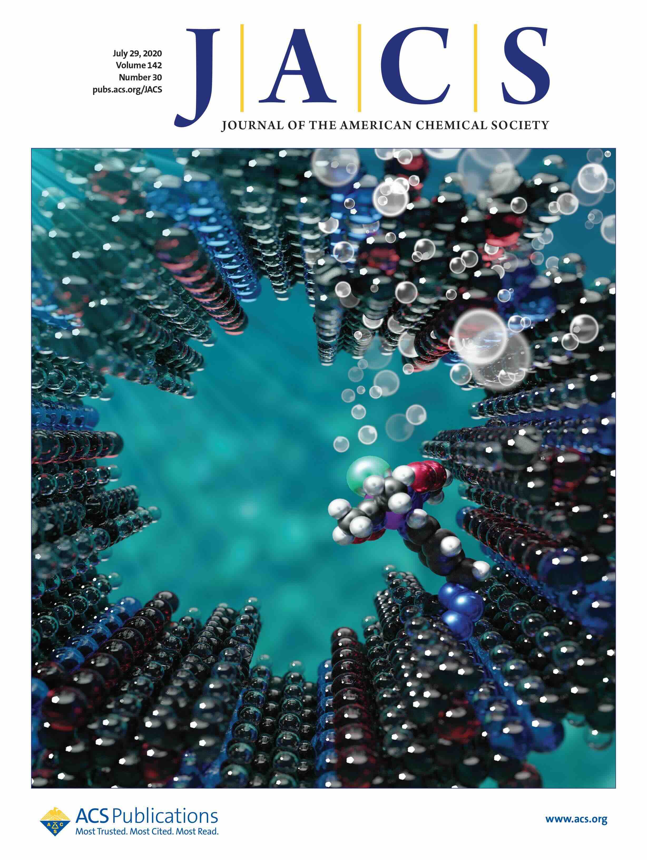Publication Image
