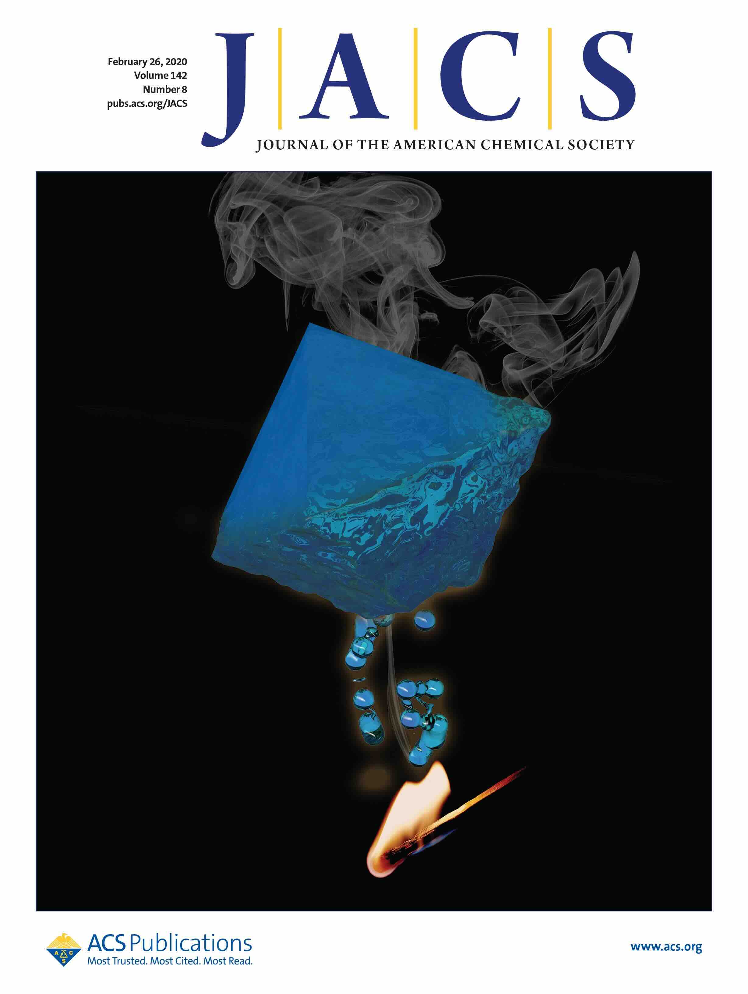Publication Image
