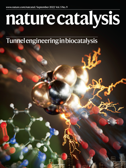 Nature Catalysis 2025